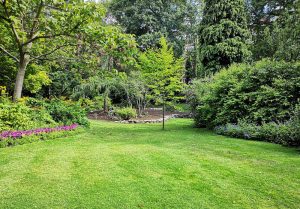 Optimiser l'expérience du jardin à Auriac-sur-Dropt